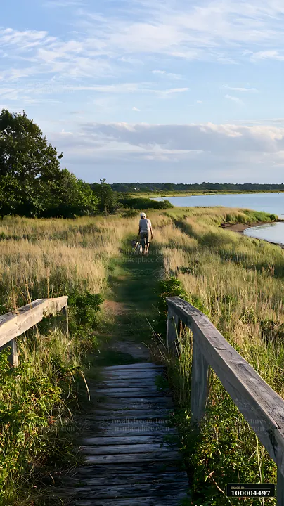 Person walks along a wooden boardwalk through a grassy meadow beside calm coastal water.