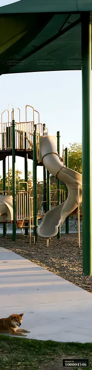 Shiba Inu relaxing beside a shaded playground area with no children visible.