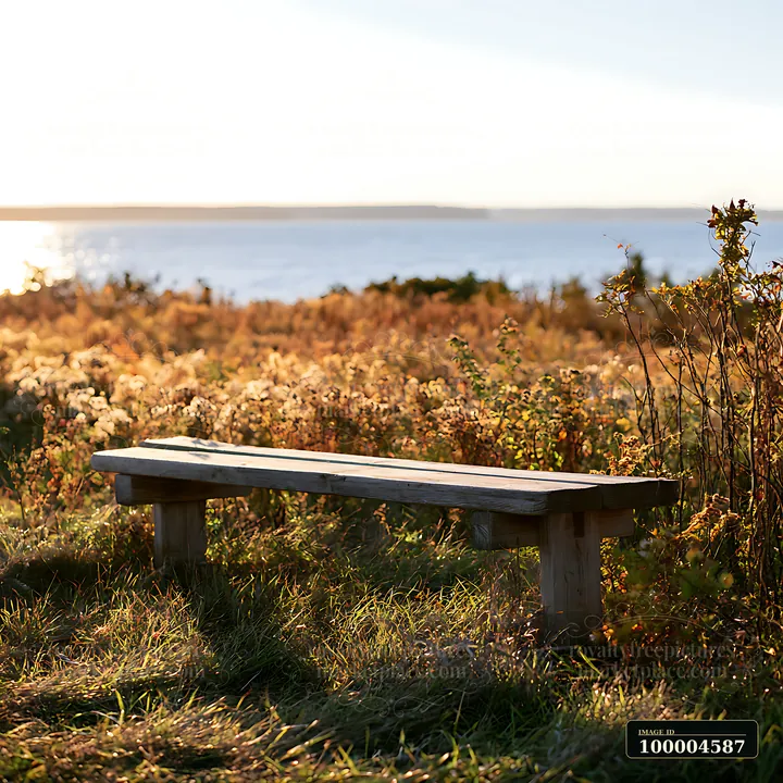 Empty wooden bench overlooking a sunlit autumn coastal meadow with fading flowers and calm water beyond.