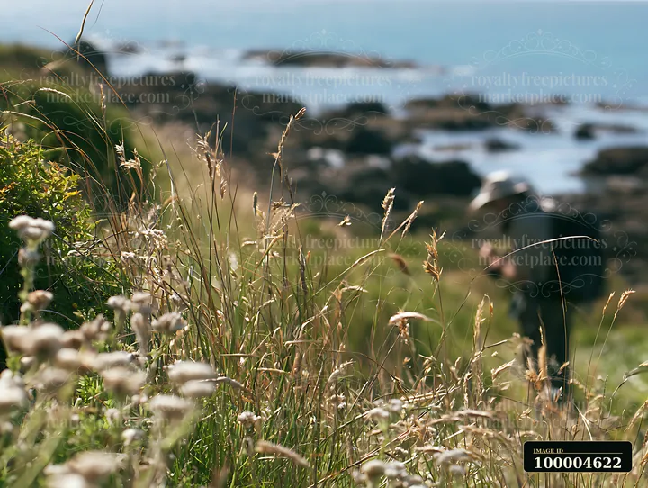 Tall meadow grasses frame a rocky shoreline with blurred surf and blue water.