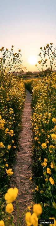 Narrow dirt path winding through yellow buttercups in a sunlit field at sunset.